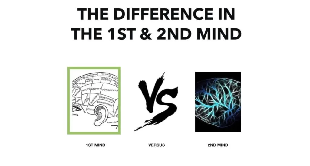 2nd mind neuro programmer helps you live from your 2nd mind
