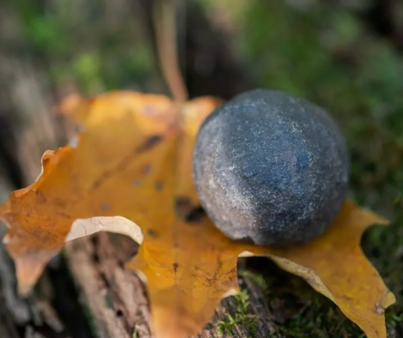 shaman stone on fall leaf